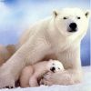 Аватара пользователя