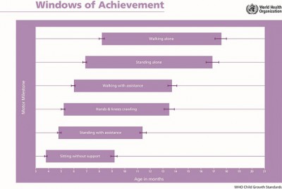 cht_windows.jpg