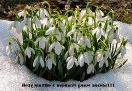загружено (1).jpg
