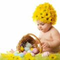 012041.gif