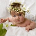 49570240_694f78dbd8bb.jpg