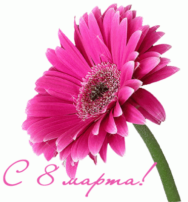 4061681_gif.gif