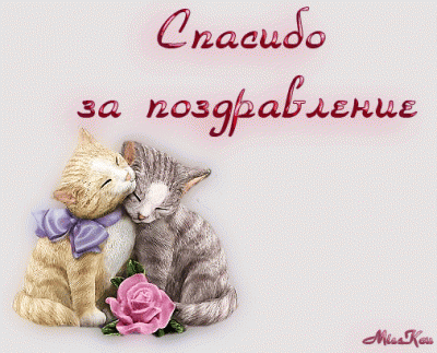 97800453_4337340_Spasibo.gif