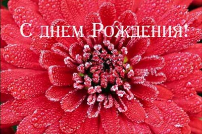 47273758_Den_rozhdeniya_08.jpg
