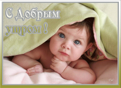 5972c9b4e719a21bc9bbb1620f49af61.gif