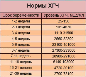 хгч.jpg