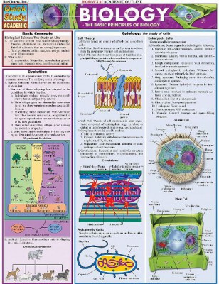 b4777b28b10f09cead5c3b00d87585d0cafd8390.jpg