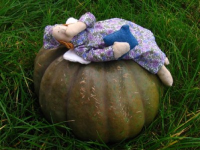 rerereIMG_2318.5.jpg