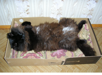 Мотька.png