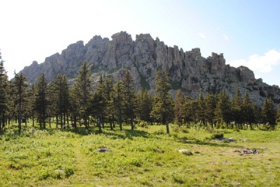 Откликной гребень.jpg