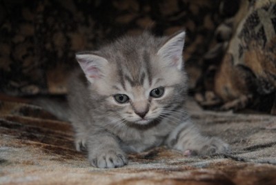 DSC_3484.jpg