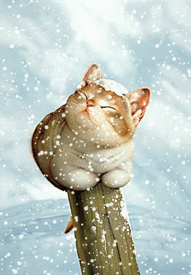 8a442e3dfb9b.gif