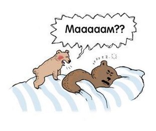 мишки2.jpg