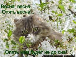 images.jpg