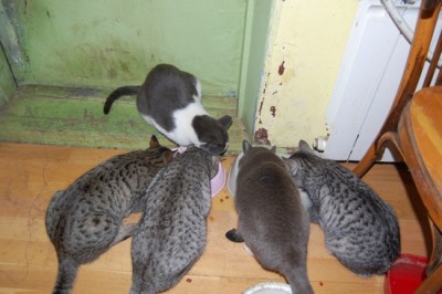 DSC_8805.JPG