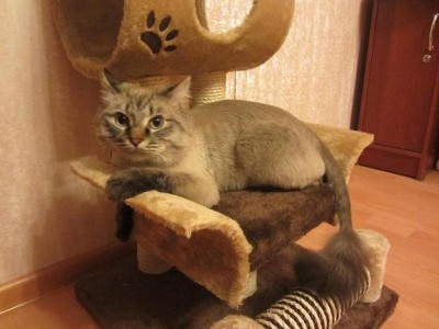 Копия IMG_0318.JPG
