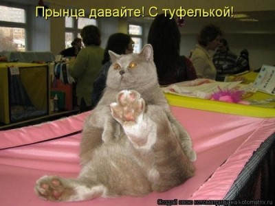 про прынца.jpg