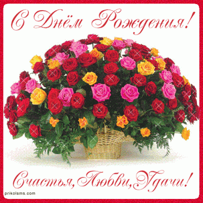 61054299-pozdrav_d_r162.gif