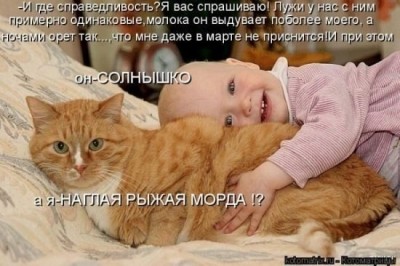 рыжая морда.jpg