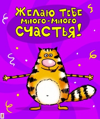 image.jpg