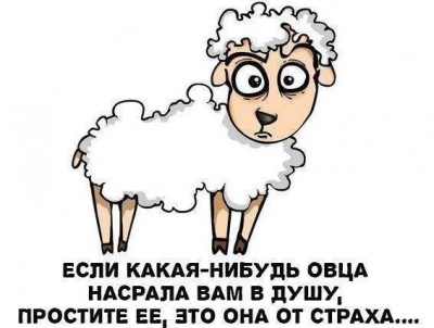 Ty4Ze5IDY8A.jpg