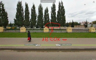 Лесок.JPG