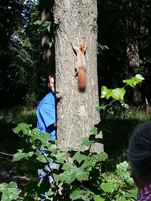 20130630_162616м.jpg